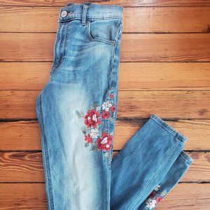 Express Embroidered jeans